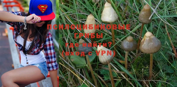 спиды Бородино