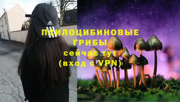 спиды Бородино