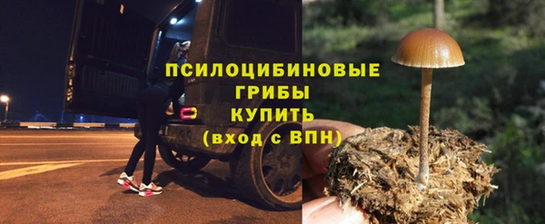 дмт Бронницы