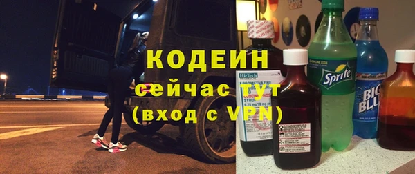 индика Нязепетровск