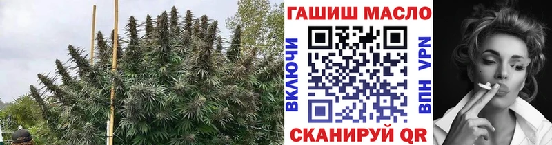 hydra ТОР  Набережные Челны  ТГК гашишное масло 