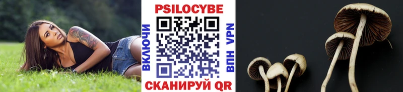 Галлюциногенные грибы мицелий Набережные Челны