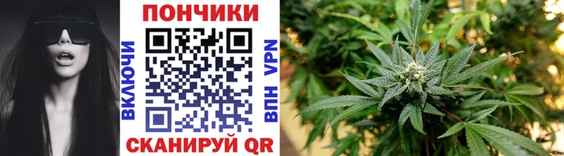 как найти   Набережные Челны  Каннабис марихуана 